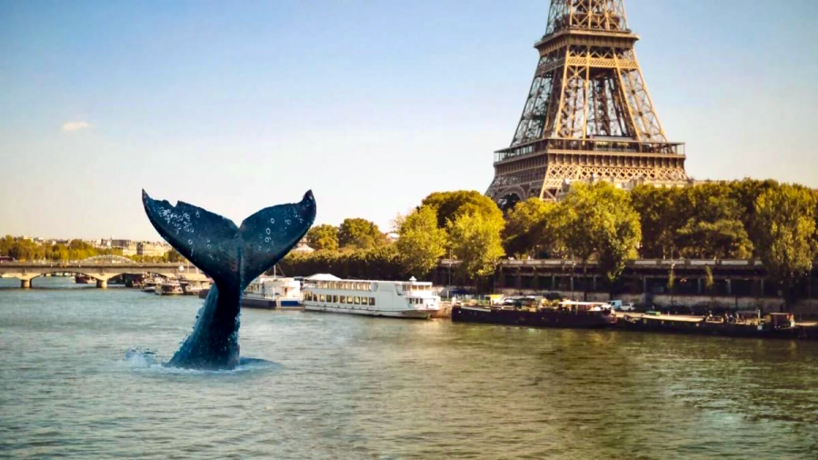 Victoire de la nature