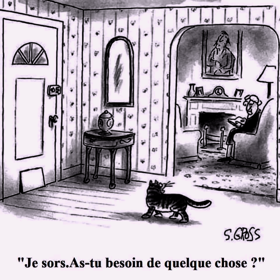 Vie de Chat